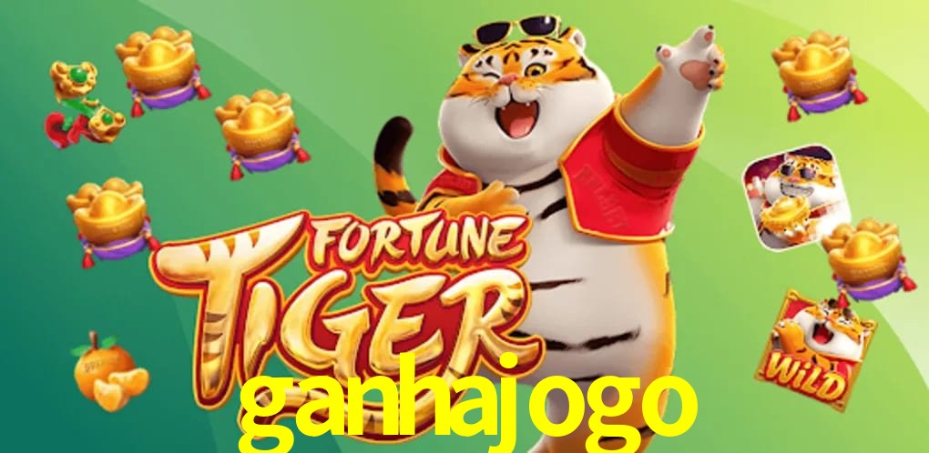 Sports Statistics ganhajogo